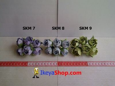 SKM 7 9  large2